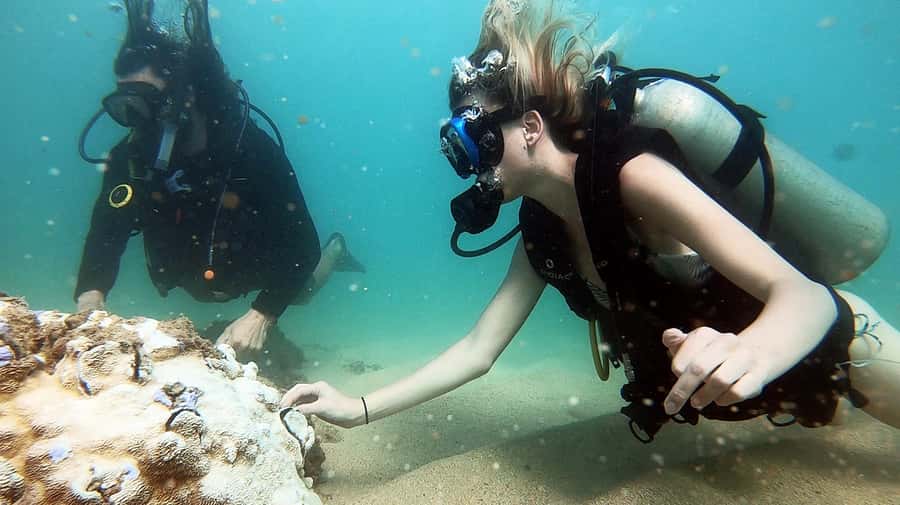 Waikiki: Honolulu Beginner Scuba Diving with Videos - Gear, instructor coaching, and the real meaning of beginner-friendly