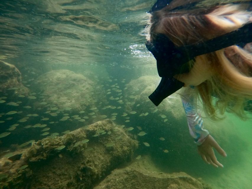 Waikiki: Honolulu Beginner Snorkeling Tour with Videos - The 90-minute snorkeling flow: from briefing to guided sea life