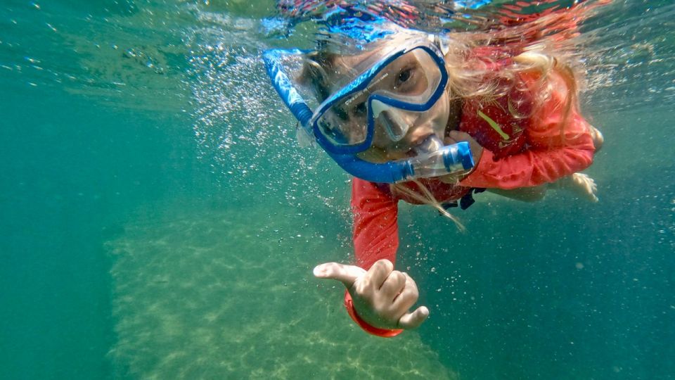 Waikiki: Honolulu Beginner Snorkeling Tour with Videos - Equipment basics: what’s included, and how the mask rules work