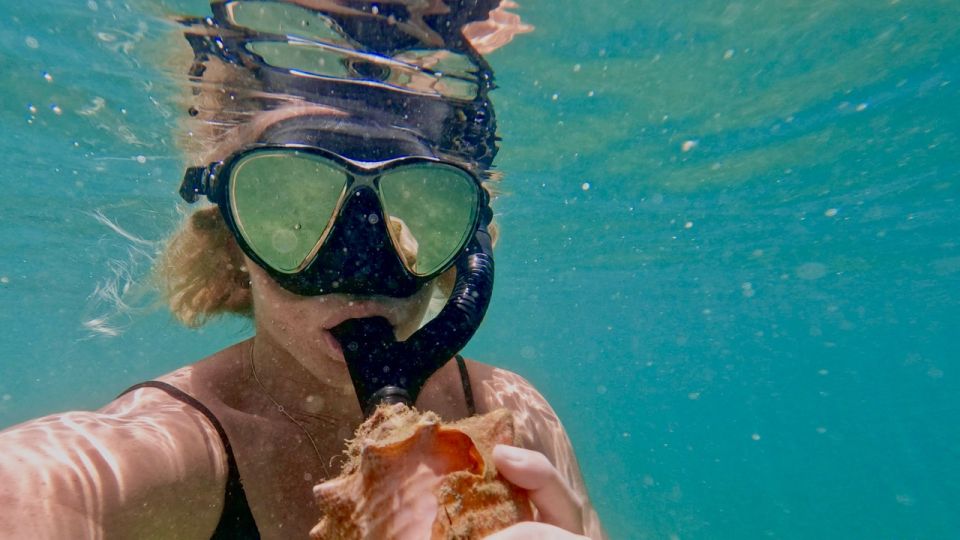Waikiki: Honolulu Beginner Snorkeling Tour with Videos - What to bring for this Waikiki lagoon session