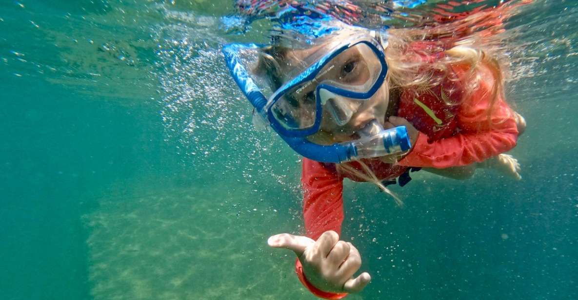 Waikiki: Honolulu Beginner Snorkeling Tour with Videos - Getting oriented: check-in near Lifeguard Tower 1G