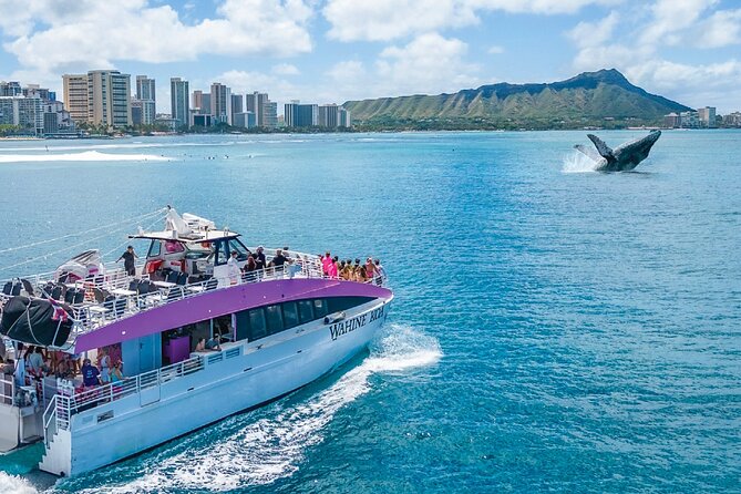 Waikiki, Oahu 2-Hour Whale Watching: Guaranteed Sightings - Beyond humpbacks: dolphins, sea turtles, and other ocean surprises