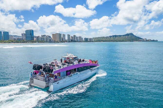 Waikiki, Oahu 2-Hour Whale Watching: Guaranteed Sightings - The 2-hour sail plan: what you’re doing during the whale watching portion