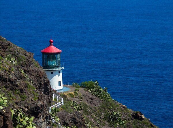Waikiki: Personal and Custom Tour - 99.9% Customizable - Key things you’ll notice fast