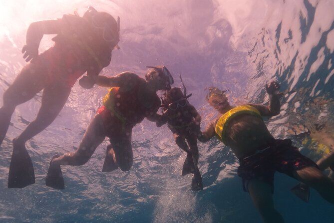 Waikiki: Turtle Canyon Snorkel - Safety and the basic swimming requirement (don’t skip this)
