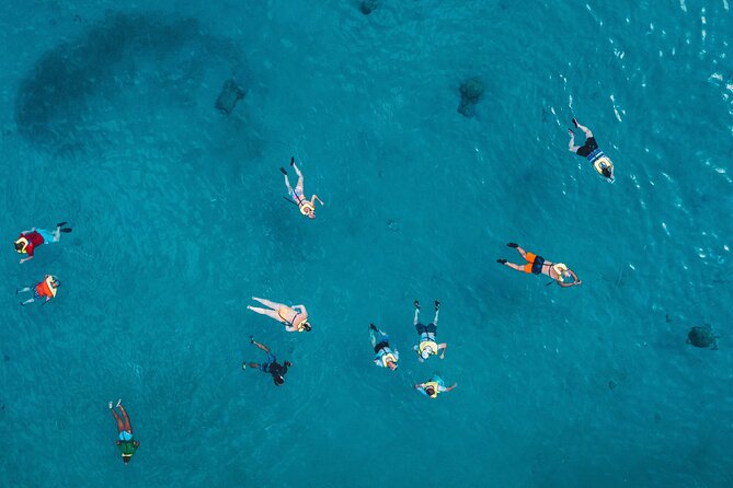 Waikiki: Turtle Canyon Snorkel - Price and value: is $68.60 worth it?
