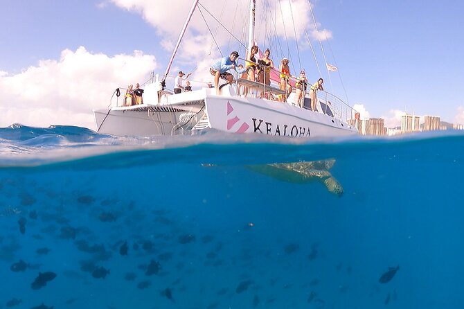 Waikiki: Turtle Canyon Snorkel - Who should book this Turtle Canyon snorkel