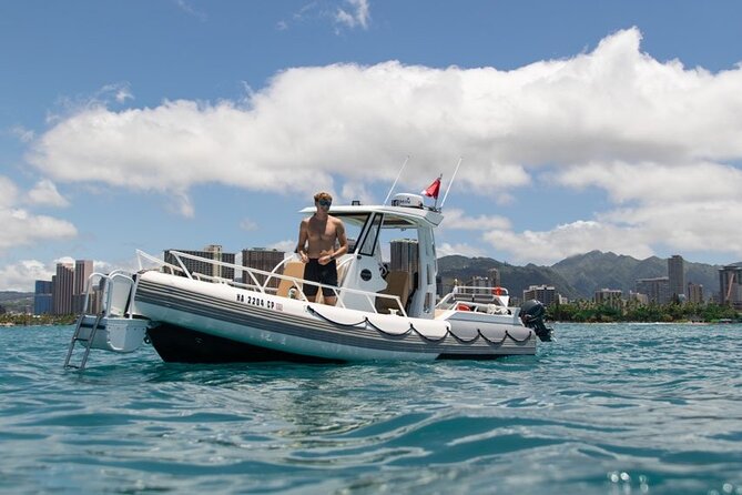 Waikiki Turtle Canyon Snorkel: Turtles Guaranteed - Safety and Comfort: What the Crew Actually Does for You