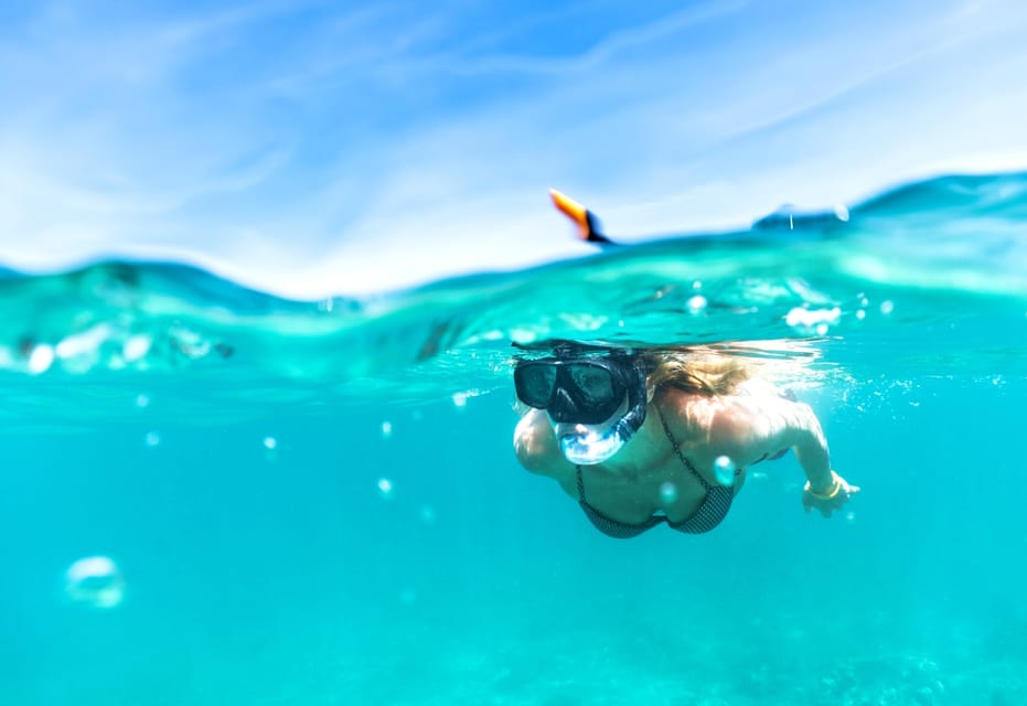 Waikiki: Turtle Snorkeling Cruise with 20ft Jumping Platform - Getting Oriented in Waikiki: Smooth Start, No Drama