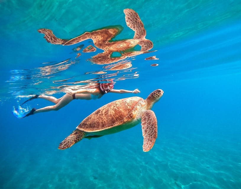 Waikiki: Turtle Snorkeling Cruise with 20ft Jumping Platform - The Snorkel Experience: Turtles, Reef Fish, and Real Expectations