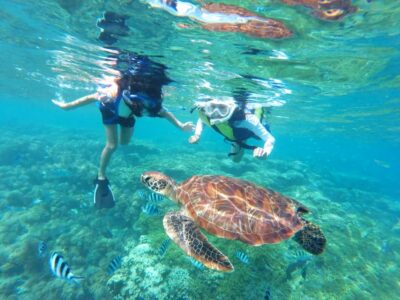 Waikiki: Turtle Snorkeling Cruise with 20ft Jumping Platform - Board the Catamaran: What the Boat Setup Means for You
