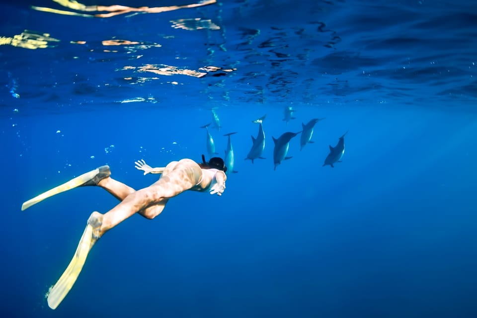 Waikiki: Turtle Snorkeling Cruise with 20ft Jumping Platform - Who This Trip Works Best For (And Who Should Rethink It)
