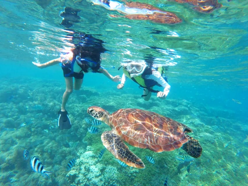 Waikiki: Turtle Snorkeling Cruise with 20ft Jumping Platform - Board the Catamaran: What the Boat Setup Means for You