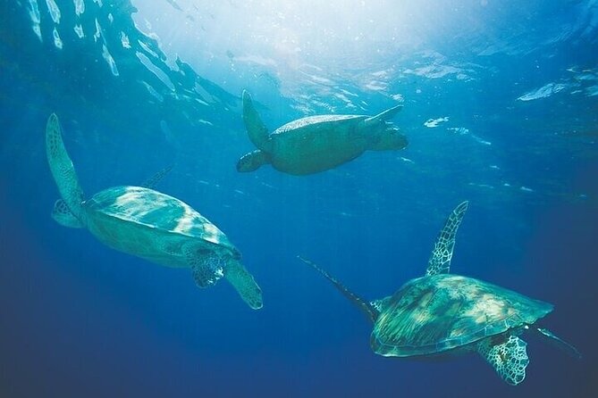 West Oahu Afternoon Turtle Snorkel Sail - The route: Waianae Mountain Range, Waikiki, and Ko Olina