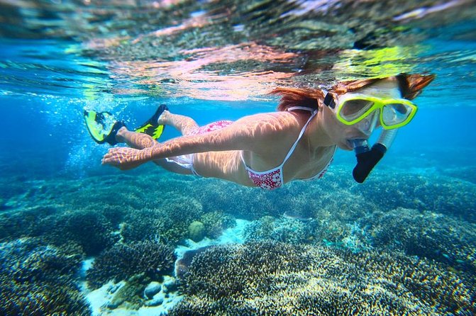 West Oahu Dolphin Watch and Snorkel Sail with Lunch - Value and price: what $125.95 really buys you